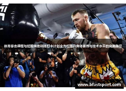 体育拳击课程与短期突击训练打卡计划全方位提升身体素质与技术水平的完美路径