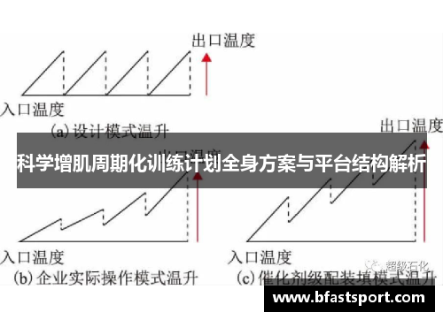 科学增肌周期化训练计划全身方案与平台结构解析